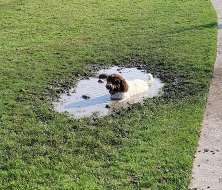 "Celowo wybrałam ten park, bo nie ma w nim obiektów wodnych."