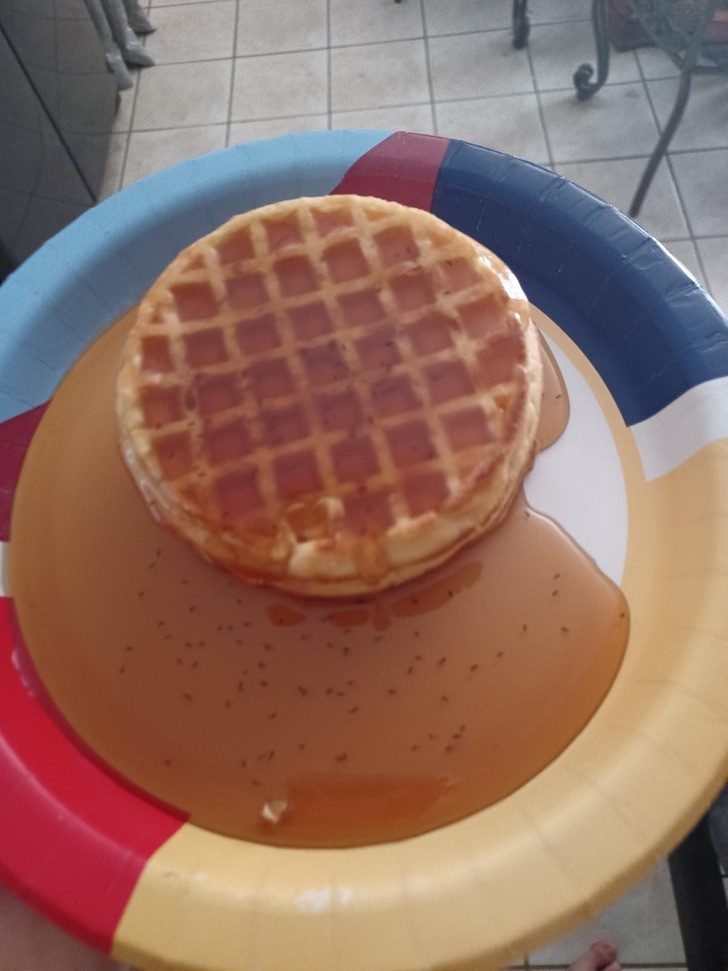 "Wafel utopiony w mrówkach"