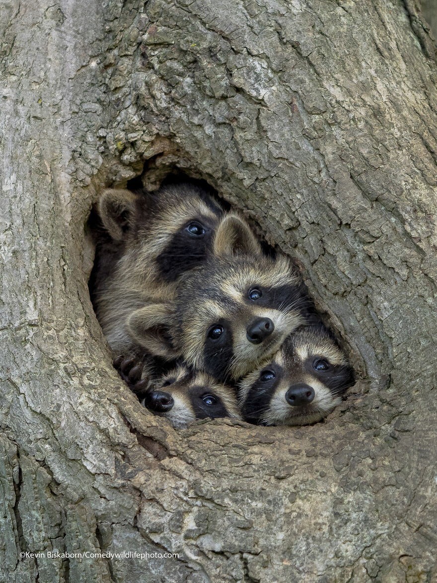 8. Życie podczas kwarantanny