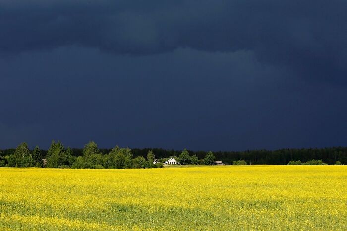 Cisza przed burzą