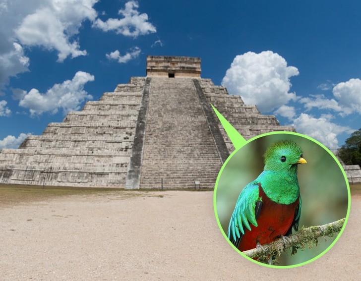 6. Piramida Kukulkana w Chichen Itza wydaje dźwięki, gdy ludzie klaszczą.