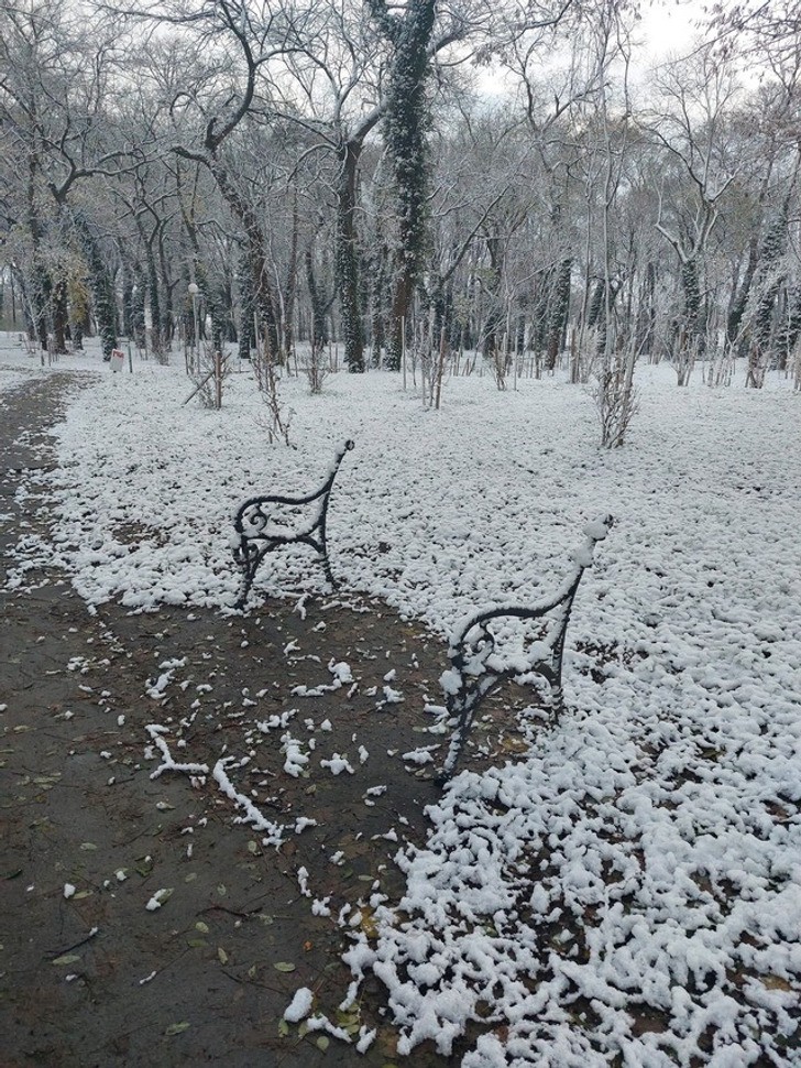 "Zakamuflowana ławka"