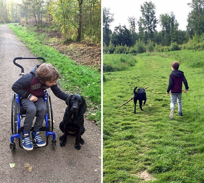 1. "8 miesięcy temu, mój syn otrzymał psa terapeutycznego. Mieliśmy nadzieję, że pomoże mu w rehabilitacji. Myślę, że możemy śmiało stwierdzić, że udało się."