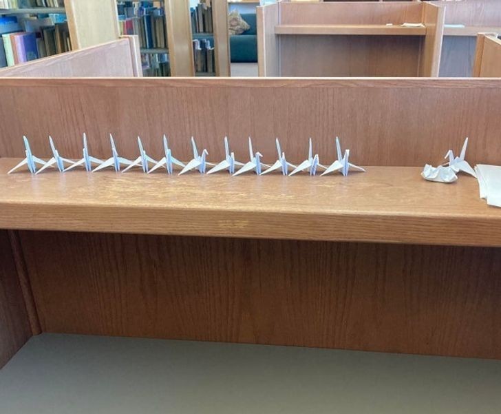 5. "Znalazłam 13 papierowych żurawi w bibliotece mojego uniwersytetu."