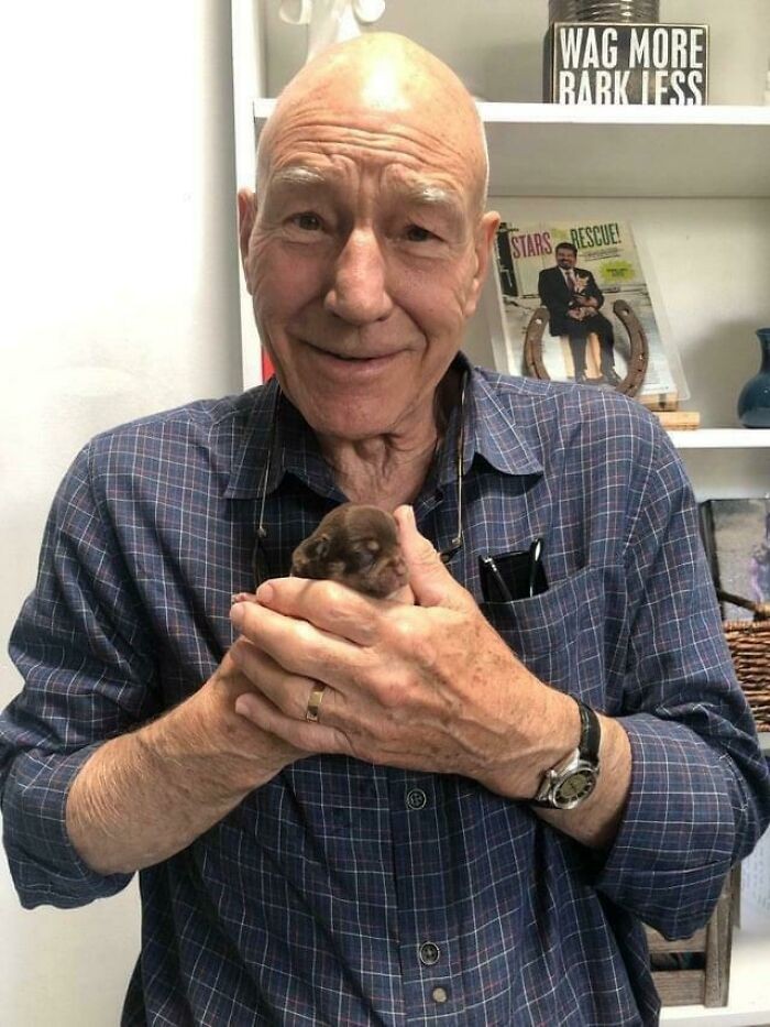 "Sir Patrick Stewart i tygodniowy szczeniaczek"