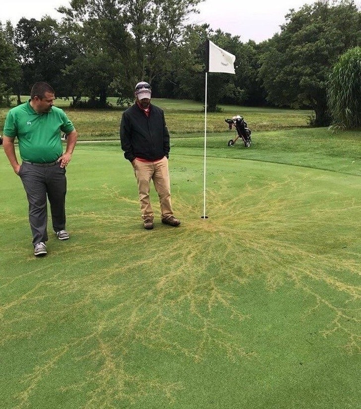 10. Efekt uderzenia pioruna w chorągiewkę na polu golfowym