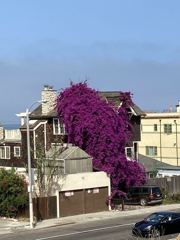 "Santa Monica, Kalifornia. Nie mogłam podejść bliżej, ale wygląda cudownie."