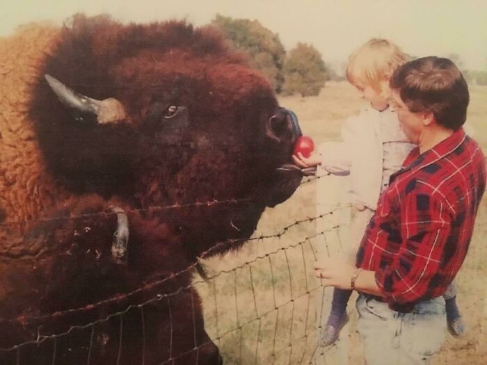 13. "W dzieciństwie jeździłam z tatą karmić bawoły za miastem. Nazwaliśmy tego giganta Big Daddy."