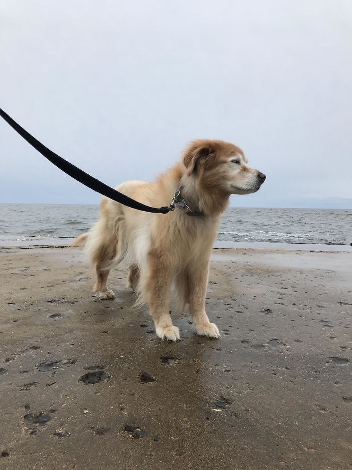 „Świętujemy 16 urodziny Molly długim spacerem po plaży.”