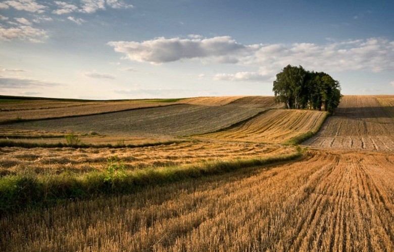 SIERPIEŃ