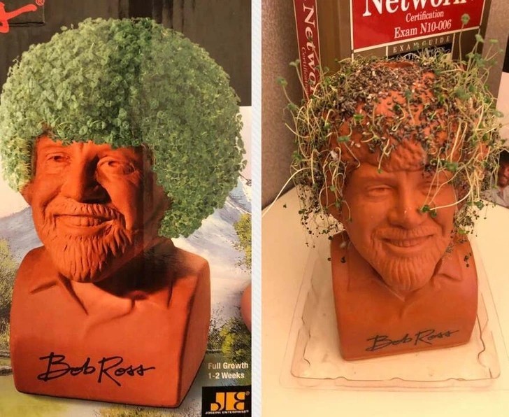 "Mój Bob Ross ma problemy z włosami."