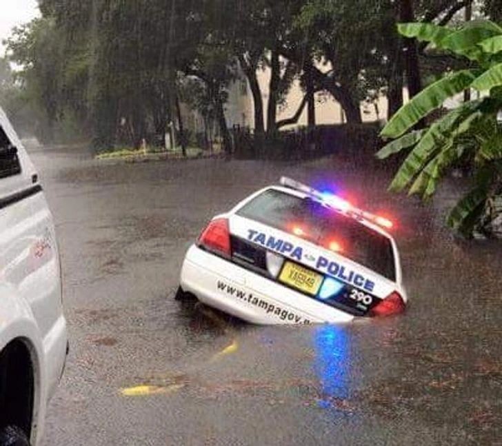 "Zadzwońcie na policję... a nie, czekaj."