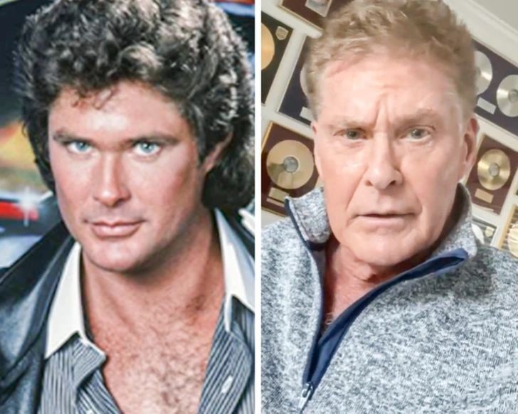 5. David Hasselhoff