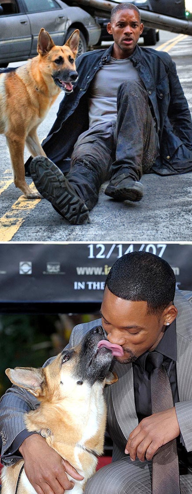 Will Smith i Abbie z „Jestem legendą”