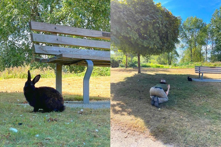 "Moje zdjęcie vs zdjęcie mojej żony"