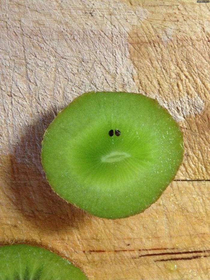 Smutne kiwi