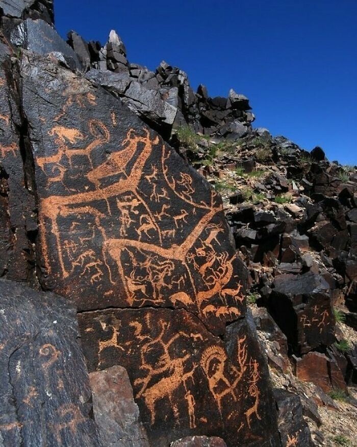 Prehistoryczne petroglify przedstawiające jelenie. Bajanchongor, Mongolia