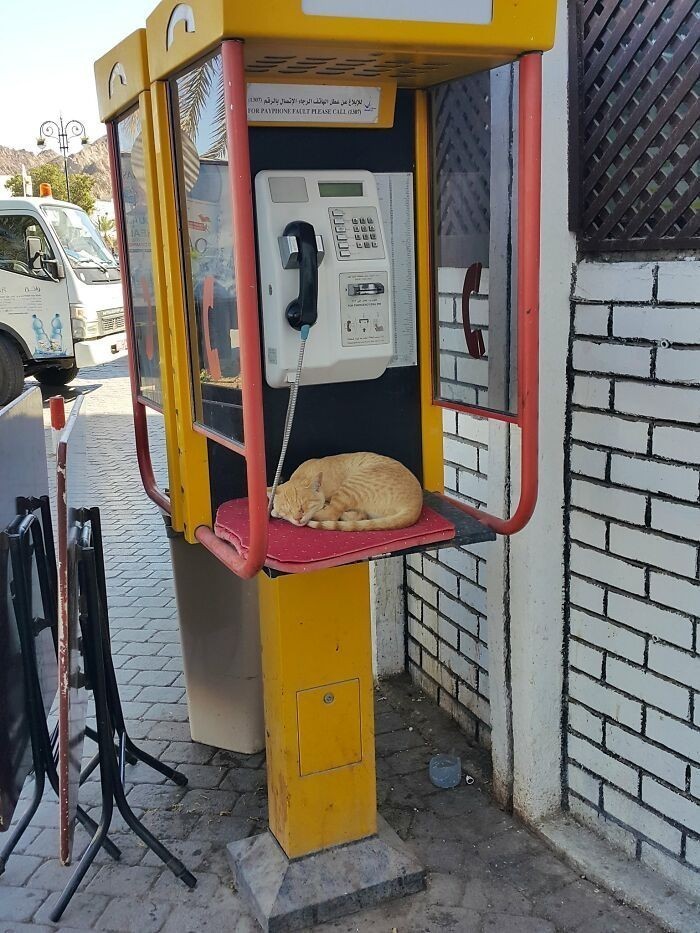 Musze zadzwonić po urlop na żądanie