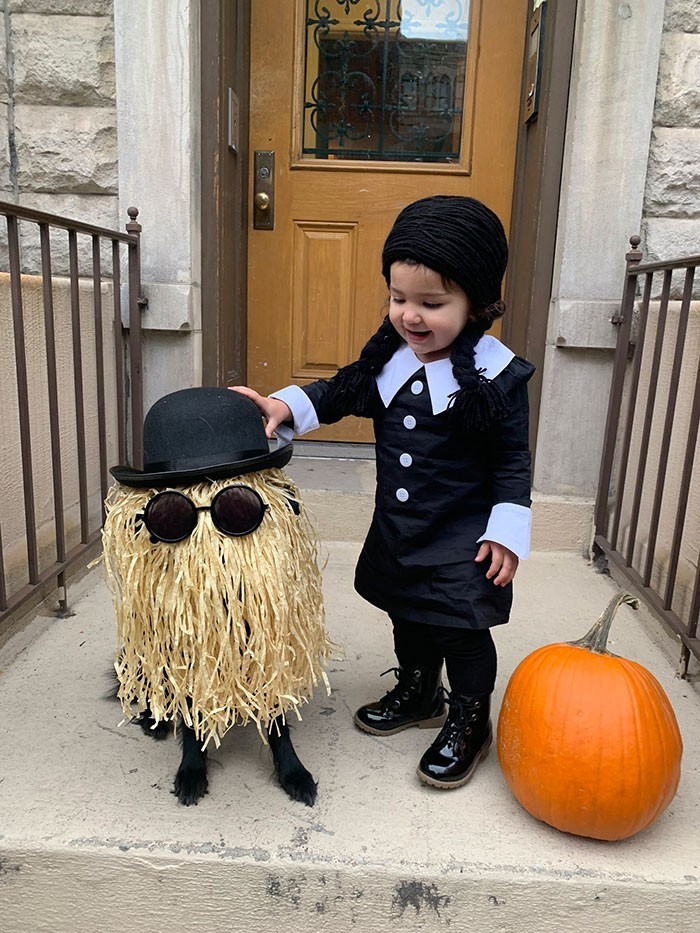 "Mój pies - kuzyn Itt i moja córka - Wednesday Addams"