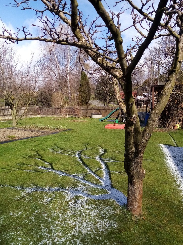 "W cieniu drzewa wciąż leży śnieg."