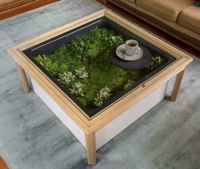 Stolik z wbudowanym terrarium