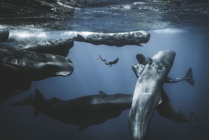 #1 Fotograf Przygód Roku, Finalista — Romain Barats