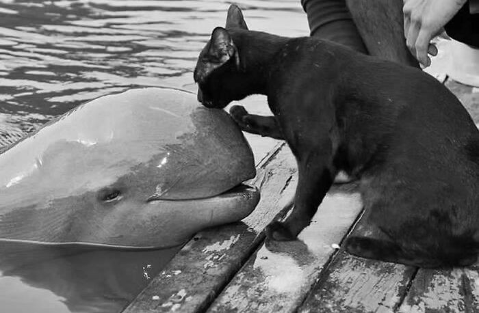 #1 Photo By Stephan Bordy