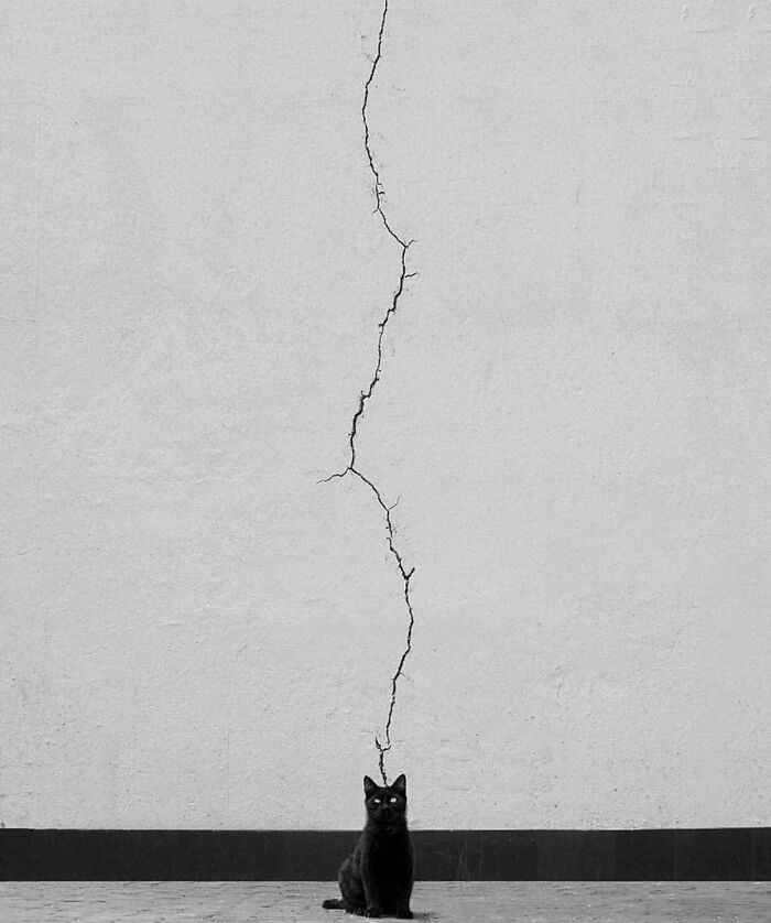 #14 Photo By Ali Zoghadri