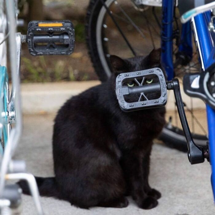 #7 Photo By Okira Kuoki