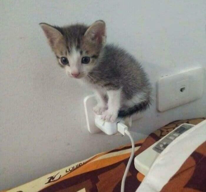 #2 Malutkie dopasowania