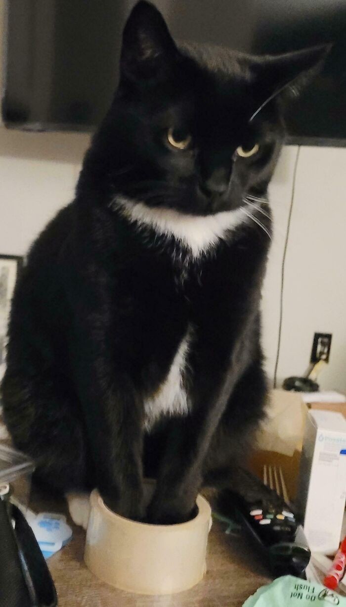 #15 Ta rolka taśmy wcale nie jest za mała!