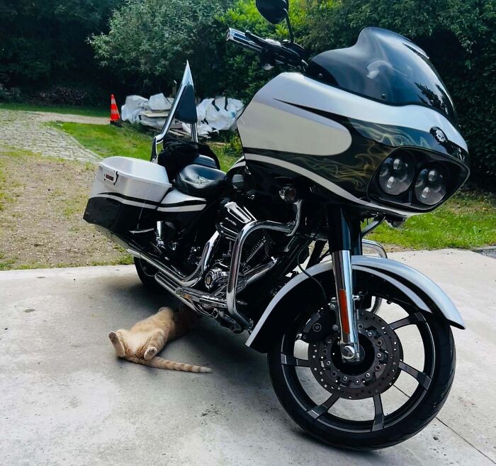 #6 W poprzednim życiu była mechanikiem