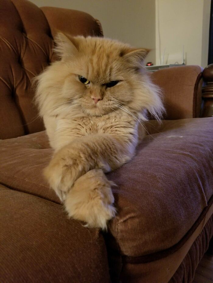 Ten stary facet próbował mnie uratować przed gazem radonowym