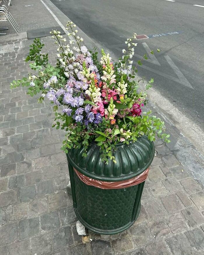 Kosz na śmieci przeszedł kryzys tożsamości i został ogrodem.