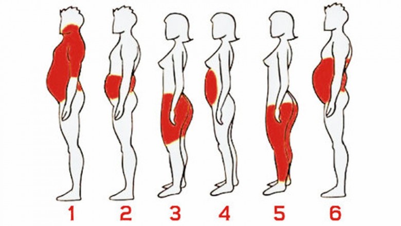 6 typów otyłości - poznaj różnice oraz dowiedz się jak z nimi walczyć! Precyzyjne działania dają  skutki!