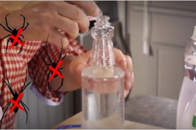 9 naturalnych sposobów na pozbycie się pająków z Twojego domu! W końcu sobie z nimi poradzisz!  