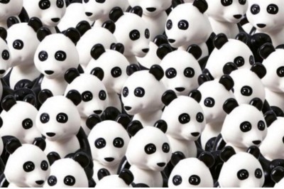 Banalne zadanie! Znajdź na tym zdjęciu ukrytego psa! Ile czasu Ci to zajmie? 