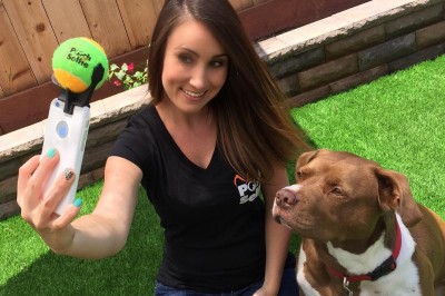 Chciał, żeby jego pies pozował do zdjęci. Pomysł na jaki wpadł okazał się genialny.