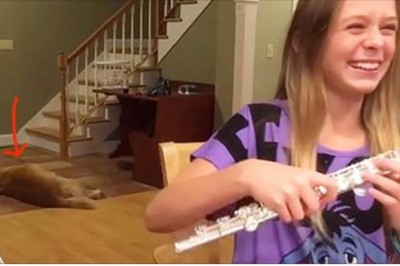 Chciała zagrać na flecie prostą melodyjkę! Teraz zobacz reakcję psa która jej to uniemożliwiła! 