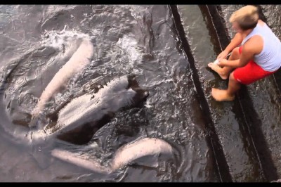 Chłopiec bawi się z dziwnym zwierzakiem! Będziesz w szoku gdy zobaczysz go w całej okazałości! 