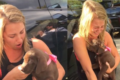 Cieszyła się z podarowanego pieska. Gdy przeczytała co ma na obroży... zalała się łzami szczęścia! 