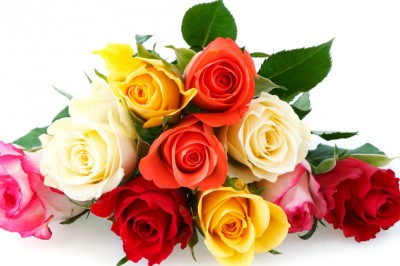 Dowiedz się co symbolizują kolory róż - każdy z nich to inna wiadomość! Przyda się przed Walentynkami! 