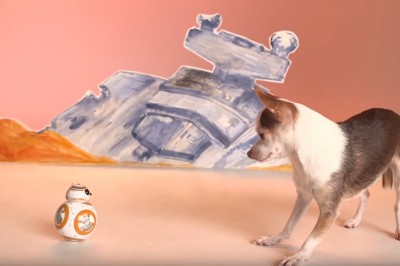 Droid z Gwiezdnych Wojen sterowany telefonem. Oszalejesz na punkcie tej zabawki! 