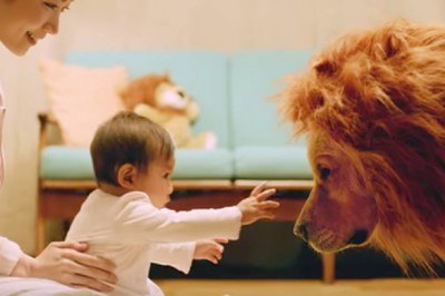 Gdy pojawiło się dziecko pies poszedł w odstawkę! Na szczęście jego właściciel zrobił coś niezwykłego!