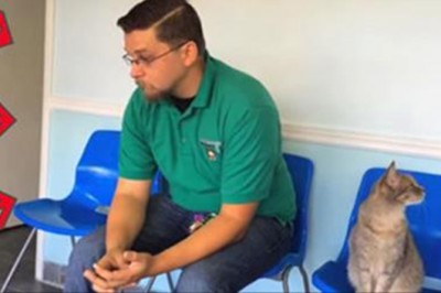 Jego pies zaginął 8 lat temu! Teraz zobacz kto przechodzi przez te drzwi! 