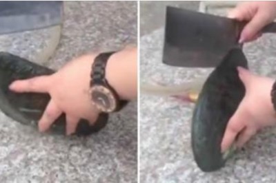 Kobieta otwiera wielkiego małża w nadziei, że znajdzie perłę! To co było w środku zupełnie ją zaskoczyło! 