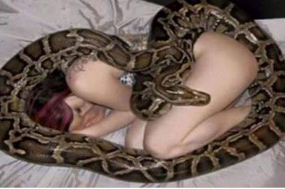 Kobieta spała ze swoim wężem każdej nocy... W końcu lekarz powiedział jej szokującą prawdę!