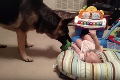 Mama usłyszała śmiech dobiegający z pokoju dziecka! Gdy tam weszła ujrzała niesamowity duet!