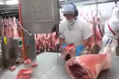 Mistrz w swoim fachu! Czyli porcjowanie tuszy level hard!