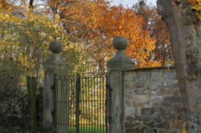 Na tym obrazie ukryto kobietę! Tylko naprawdę spostrzegawczy ją odnajdą! 